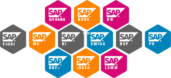 SAP Tools and Technologies